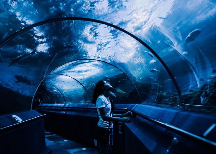 Dubai Aquarium